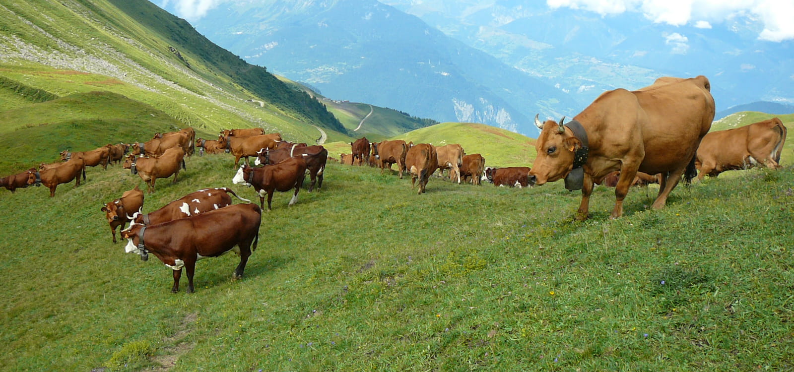 Les Alpages | Coeur de Tarentaise